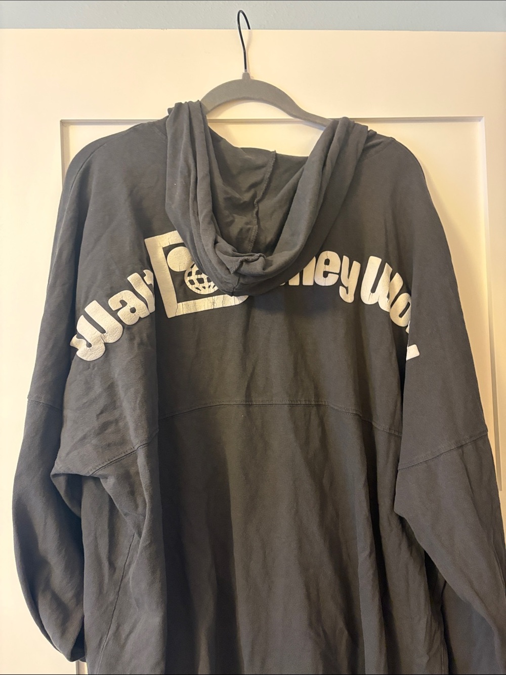 Disneyworld Spirt Jersey with hood - Picture 4 of 4